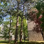 Oazis 维斯普雷姆
