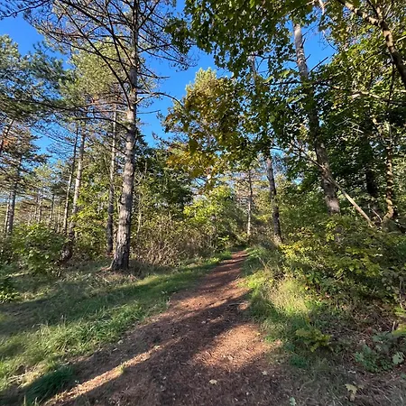 Apartamento Oázis Veszprém