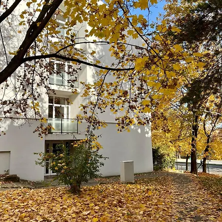 Apartment Oazis *